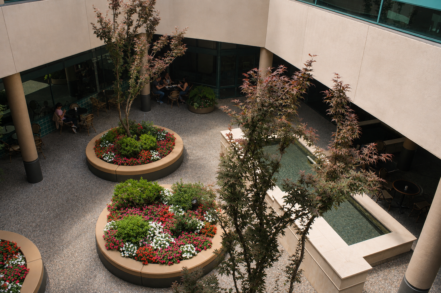 Walnut Creek